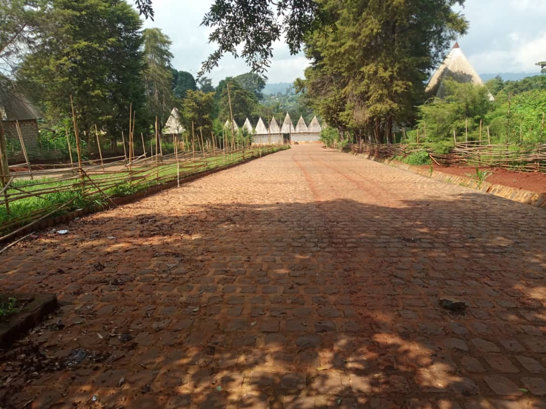 Chefferie Bamena - Cameroun