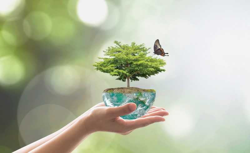 biodiversite energies renouvelables 800x490