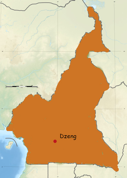 dzeng cameroun