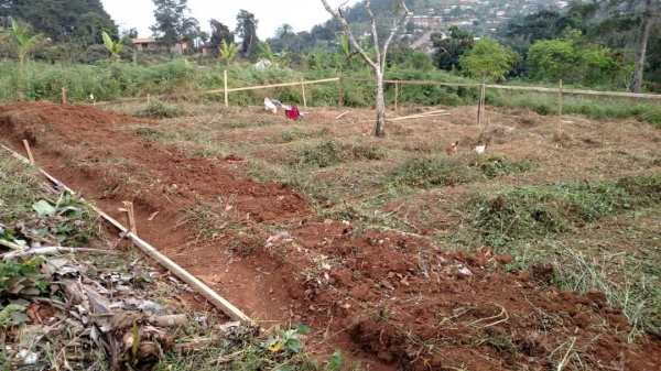 Suivis des travaux au sein des chefferies traditionnelles
