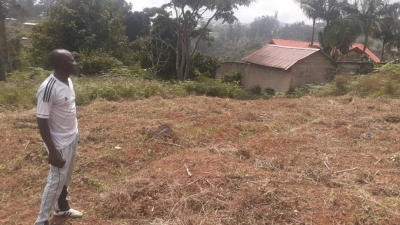 Suivis des travaux au sein des chefferies traditionnelles